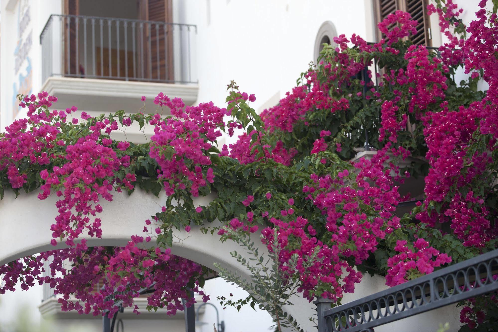 Hotel Residence Acquacalda Lipari  Exterior foto